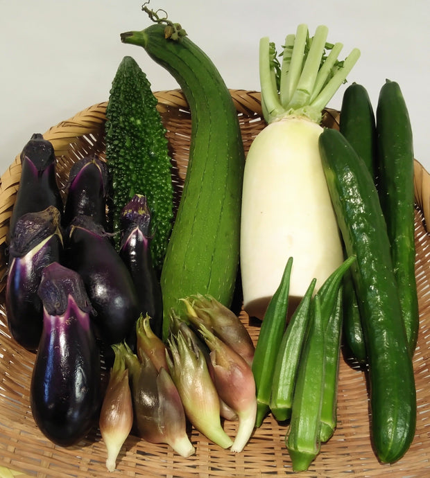 今週の野菜セット
