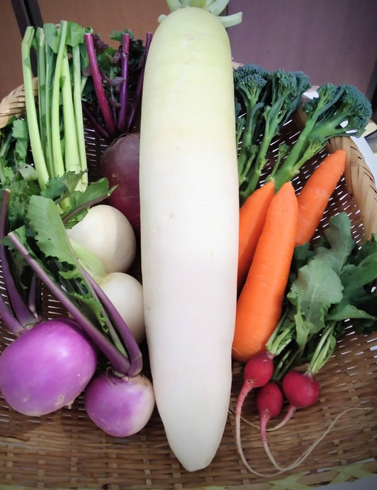 今週の野菜セット